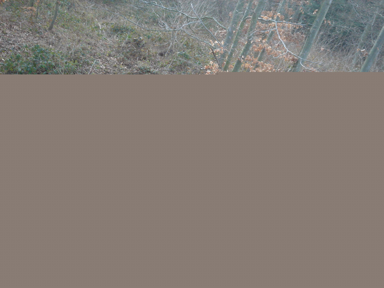 DSC02335.JPG