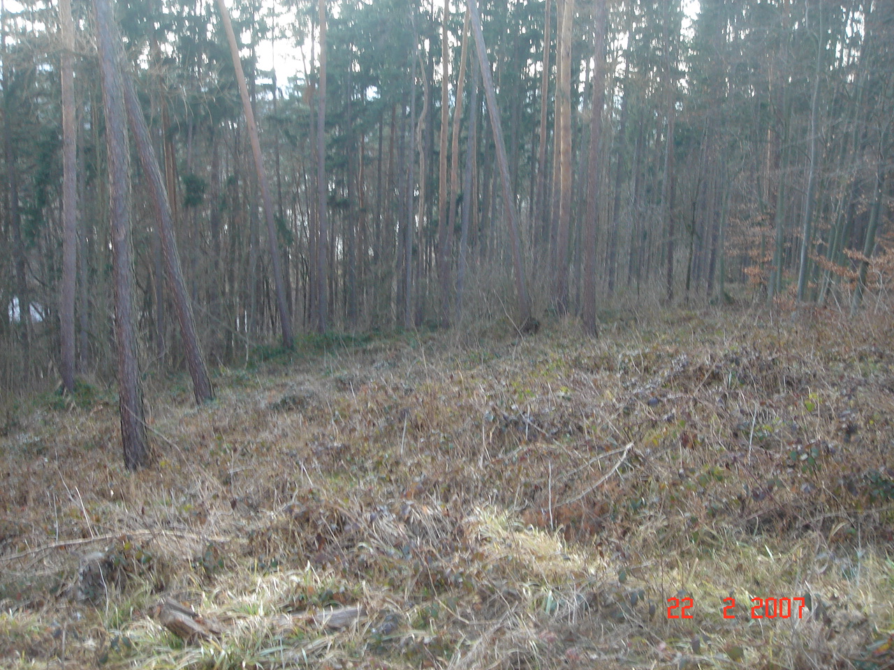DSC02346.JPG